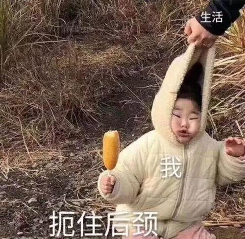 沙雕吃瓜爆料视频下载,一场网络爆料的狂欢盛宴 第3张 沙雕吃瓜爆料视频下载,一场网络爆料的狂欢盛宴 第3张